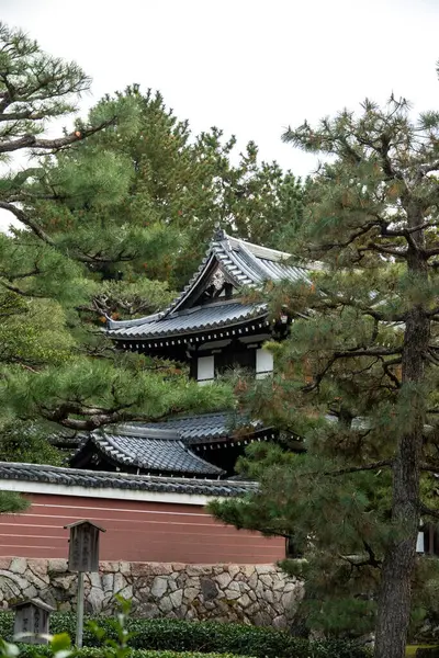 Kenninji sahasında yürüyorum. Yüksek kalite fotoğraf