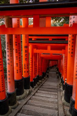 Kyoto, Japonya - 27 Aralık 2024: Japonya 'daki Fushimi Inari tapınak kemerleri. Yüksek kalite fotoğraf
