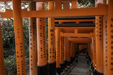 Kyoto, Japonya - 27 Aralık 2024: Japonya 'daki Fushimi Inari tapınak kemerleri. Yüksek kalite fotoğraf