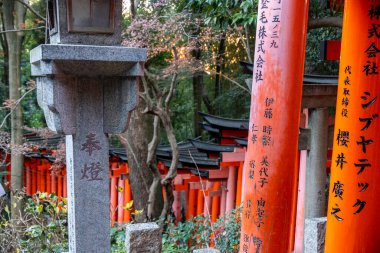 Kyoto, Japonya - 27 Aralık 2024: Japonya 'daki Fushimi Inari tapınak kemerleri. Yüksek kalite fotoğraf