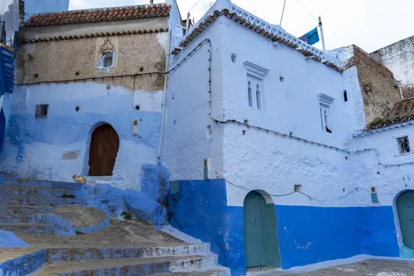 Mavi şefimiz Chefchaouen 'de yürüyoruz. Yüksek kalite fotoğraf