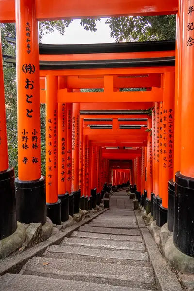 Kyoto, Japonya - 27 Aralık 2024: Japonya 'daki Fushimi Inari tapınak kemerleri. Yüksek kalite fotoğraf