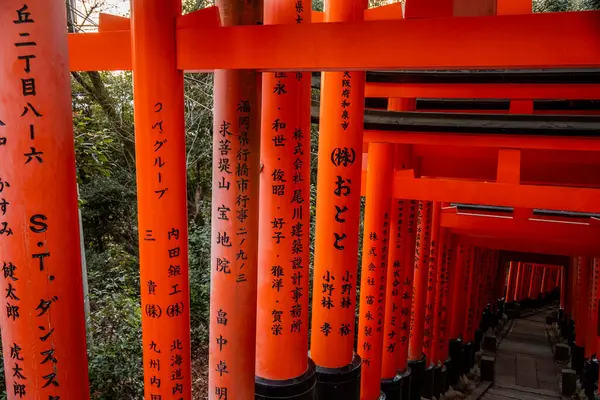 Kyoto, Japonya - 27 Aralık 2024: Japonya 'daki Fushimi Inari tapınak kemerleri. Yüksek kalite fotoğraf