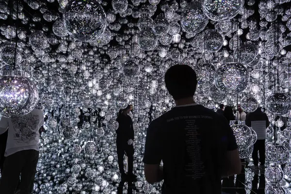 Tokyo, Japonya - 27 Aralık 2024: Tokyo 'daki takım ışıkları ve renkleri. Yüksek kalite fotoğraf