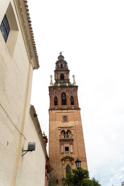 İspanya 'nın güneyinde bir katedral. Yüksek kalite fotoğraf