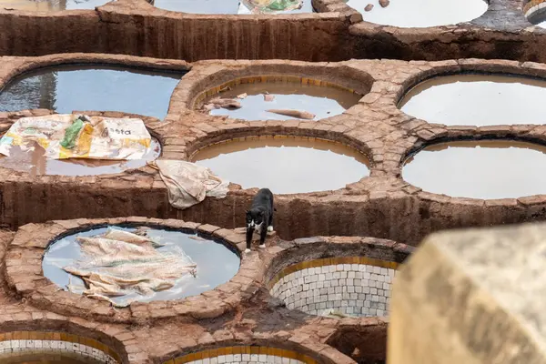 Fes, Fas 'taki deri tabakhanesi. Yüksek kalite fotoğraf