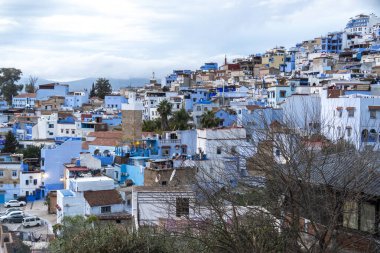 Mavi şefimiz Chefchaouen 'de yürüyoruz. Yüksek kalite fotoğraf