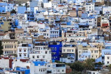 Mavi şefimiz Chefchaouen 'de yürüyoruz. Yüksek kalite fotoğraf