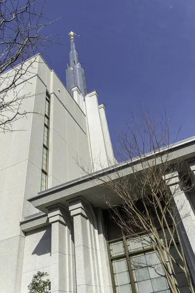 5 Ocak 2025 'te Tokyo, Japonya' daki lds tapınağında. Yüksek kalite fotoğraf