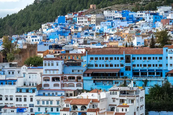 Mavi şefimiz Chefchaouen 'de yürüyoruz. Yüksek kalite fotoğraf