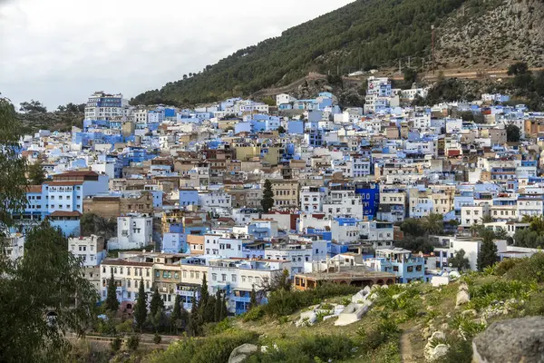 Mavi şefimiz Chefchaouen 'de yürüyoruz. Yüksek kalite fotoğraf