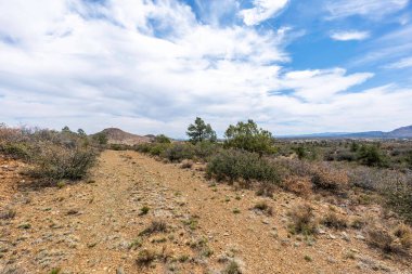 Uzun, dolambaçlı toprak bir yol uçsuz bucaksız bir çöl arazisinde dağılmış ağaçlar ve orada yetişen çeşitli çalılarla doludur.