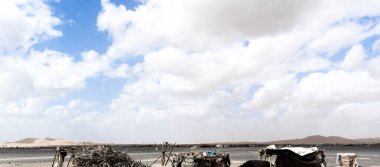 Sahra yakınlarındaki Fas berberi köyü. Yüksek kalite fotoğraf