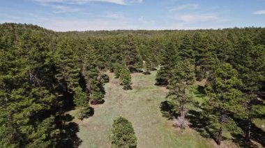 Flagstaff Arizona 'nın üzerinde uçuyordu. Yüksek kaliteli FullHD görüntüler