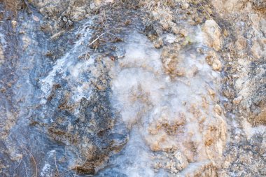 Üzerinde beyaz madde olan bir taş. Kaya kirli ve grimsi bir rengi var.