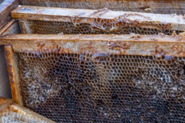 Üzerinde önemli miktarda bal bulunan bir bal peteğinin yakın çekimi. Bal peteği kahverengidir ve oldukça yaşlıdır. Bal peteği hücrelerinin bir kısmı balla doludur.