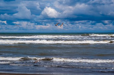 Gökyüzü bulutlu ve okyanus sakin. Bir kaç kuş suyun üzerinde uçuyor.