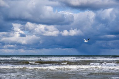 Bulutlu bir günde bir kuş okyanusun üzerinde uçar. Gökyüzü bulutlu ve su dalgalı.