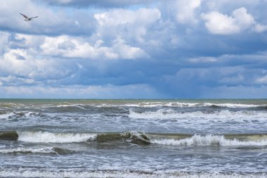 Arka planda bulutlu bir gökyüzü olan bir martı okyanusun üzerinde süzülür. Sahne huzurlu ve huzurlu. Kuşun uçuşu diğer sulara özgürlük ve hareket hissi katıyor.