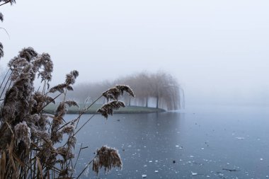 Uzakta sisle kaplı donmuş bir ada ve donmuş bir doğa.
