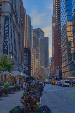 New York şehir merkezi manzarası