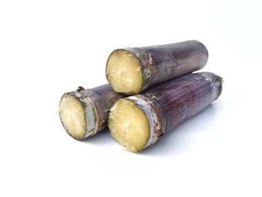Beyaz arkaplanda Saccharum officinarum Linn veya Sugarcane cuttings izole 