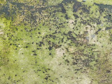 Yosun dokusu ve yıpranmış katmanı olan eski beton parçası. arkaplan ya da tasarım için mimari fikirler 