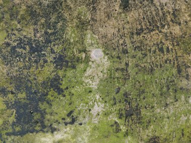 Yosun dokusu ve yıpranmış katmanı olan eski beton parçası. arkaplan ya da tasarım için mimari fikirler 