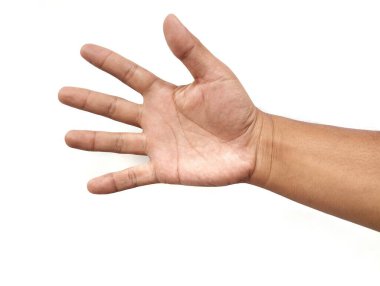 Asyalı bir adamın eli, beyaz arka planda beş parmağı açık, izole bir şekilde. 