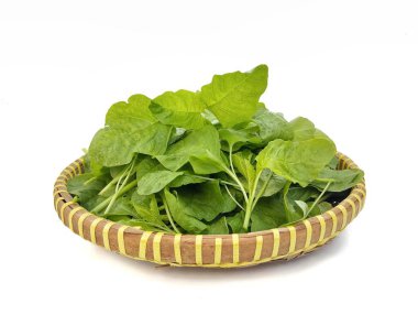 Beyaz arka planda izole edilmiş taze ıspanak taze çiğ yiyecek, organik tarım planı.
