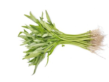 Beyaz zemin üzerinde temiz su ıspanağı (Ipomoea aquatica) izole edilmiştir. 