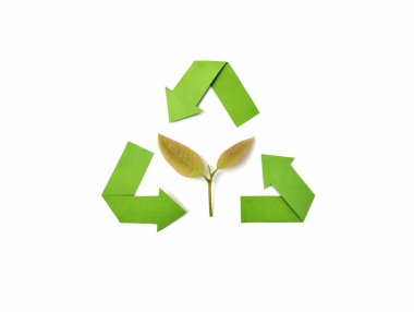 Beyaz arkaplanda yaprak izole edilmiş geri dönüşüm işareti, sürdürülebilirlik kavramı 