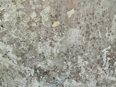 Astrak grunge eski duvar soyulmuş boya dokusu arka plan