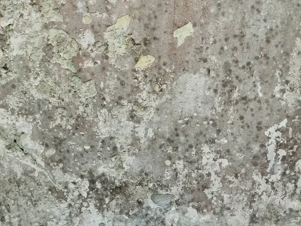 Astrak grunge eski duvar soyulmuş boya dokusu arka plan