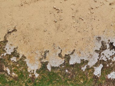 Eski grunge duvar yıpranmış doku arkaplanını kapat