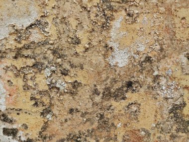 Eski grunge duvar yıpranmış doku arkaplanını kapat