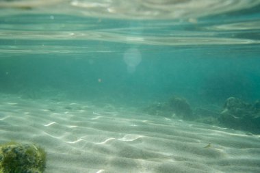 Su altındaki yosun taşı yeşil yansıması. Yüksek kalite fotoğraf