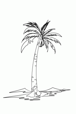 Hindistan cevizi ağacı sanat eserleri güncel adada