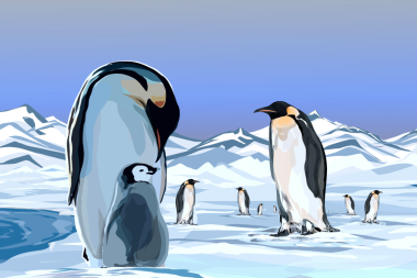 Karlı dağlardaki bir grup penguenin doğal bir manzarasının resmi.