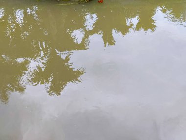 Bulanık sularda akan ağaç gölgesinin gölgesi.