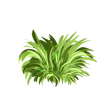 arkaplan olmadan çim simgesi resimleme