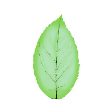 arkaplansız yeşil yaprak resimleme