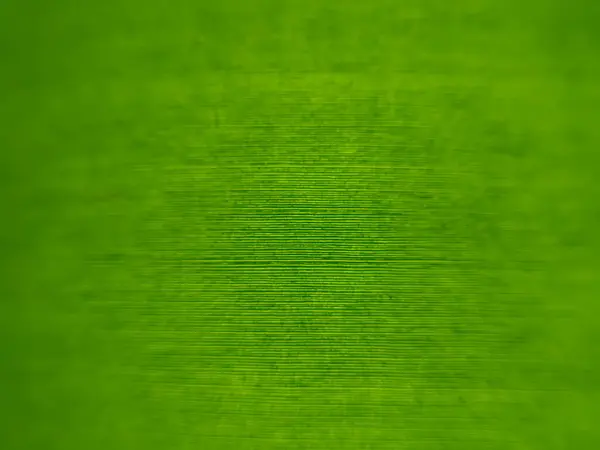 Arka plan ışığıyla muz yaprağı desenini kapat