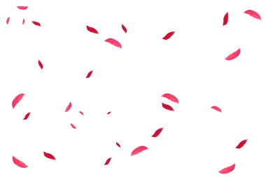 Bazı çiçek yaprakları sonbaharda arkaplanmadan düşer.