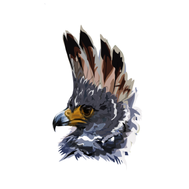 Arkaplanı olmayan Harpy Eagle baş simgesinin çizimi