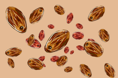 Bazı hurma ağaçları kahverengi zemine düşer.