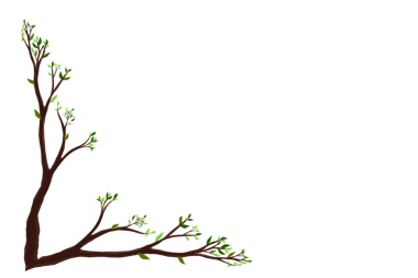 Arkaplansız yeşil yapraklı ağaç çizimi