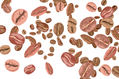 Geçmişi olmayan çeşitli kahve çekirdekleri koleksiyonu.