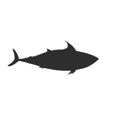 Geçmişi olmayan ton balığı vektörünün siyah silueti