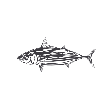 Arka planı olmayan bir tuna balığının silüetinin vektör çizimi